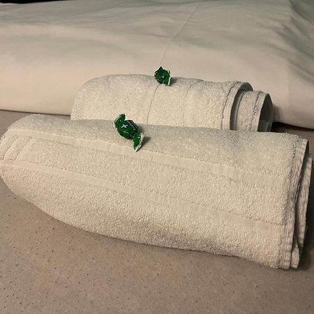 Rheinblick Apartment 2 科布倫茨 外观 照片